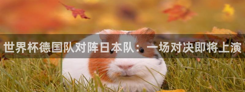 亚洲区世界杯预选赛:世界杯德国队对阵日本队:一场对决即将上演