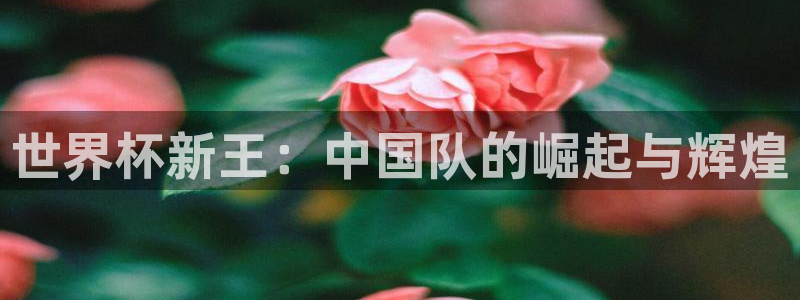 世界杯直播在线观看入口:世界杯新王:中国队的崛起与辉煌