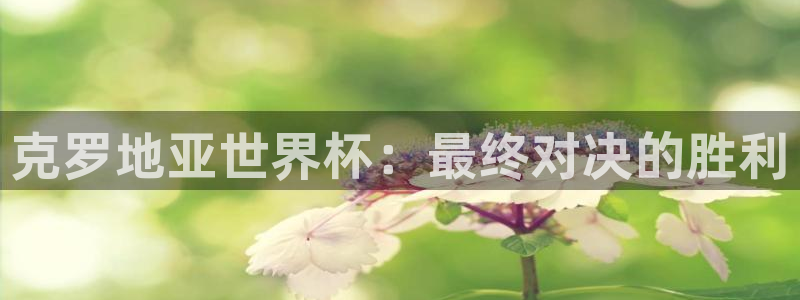 2026年男足世界杯:克罗地亚世界杯:最终对决的胜利