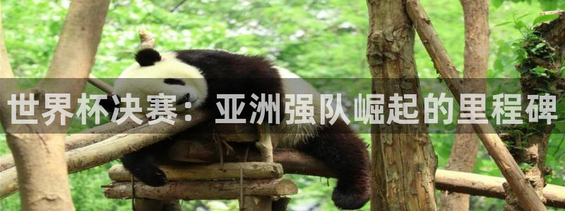女足世界杯赛程:世界杯决赛:亚洲强队崛起的里程碑