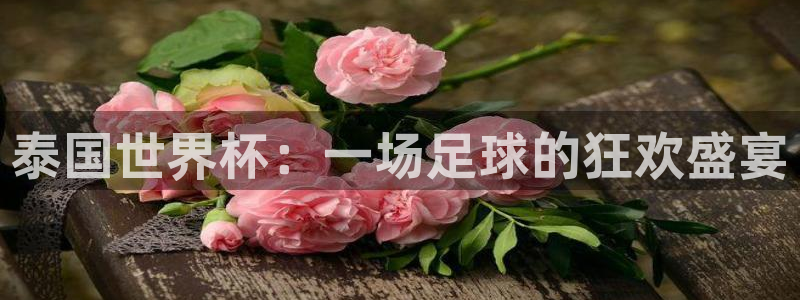 2026年世界杯赛程表时间:泰国世界杯:一场足球的狂欢盛宴