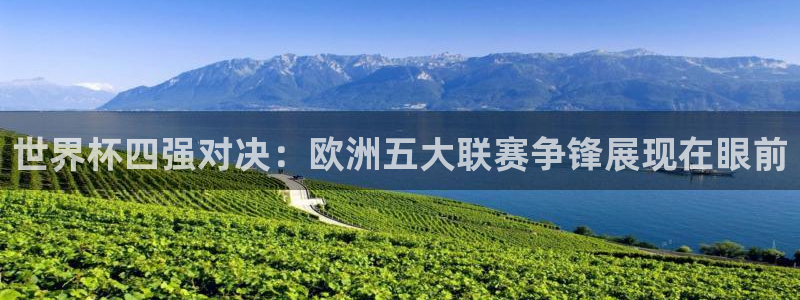 世界杯足球比赛:世界杯四强对决:欧洲五大联赛争锋展现在眼前