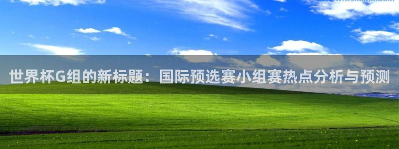 世界杯足球:世界杯G组的新标题:国际预选赛小组赛热点分析与预测