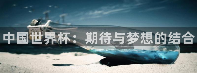 世界杯:中国世界杯:期待与梦想的结合